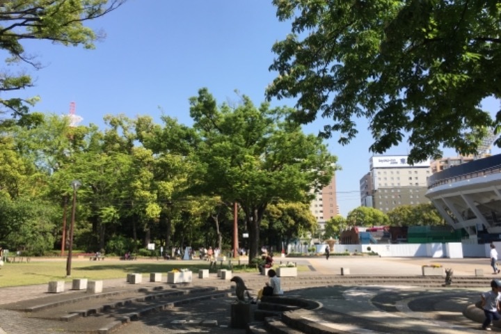 横浜公園はハマスタに隣接した都会のオアシス
